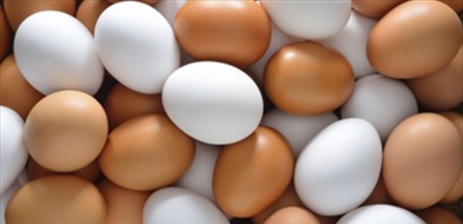 ماذا يحدث حين تسقط 136 ألف بيضة على الطريق؟