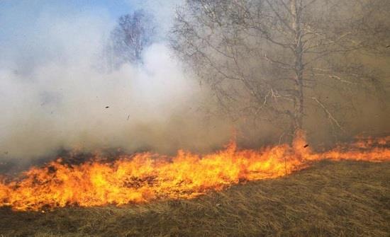 إخماد حريق أعشاب جافة في محافظة اربد