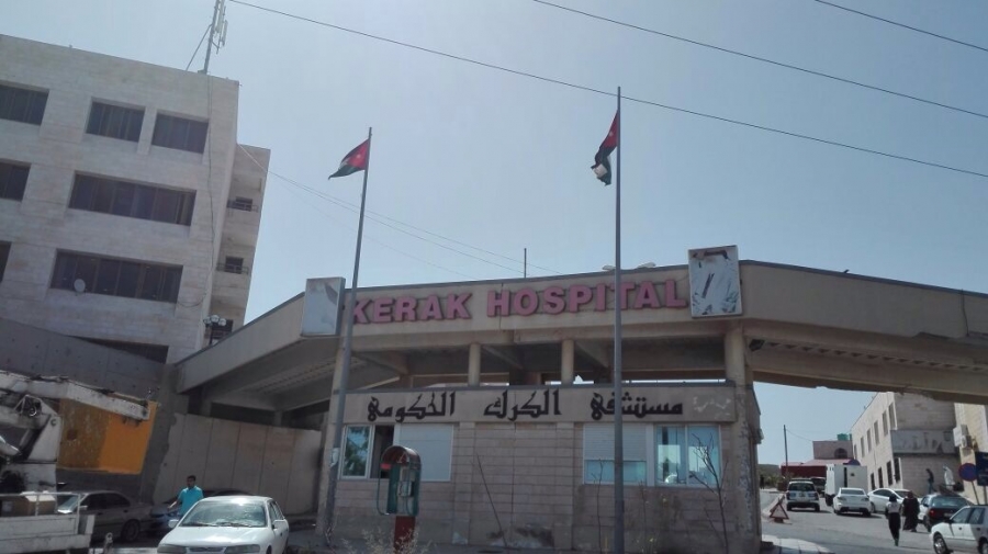 مدير صحة الكرك: انحسار حالات انفلونزا الخنازير في المحافظة