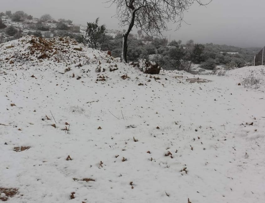 بالفيديو والصور...الخوالدة : القادسية تشهد تساقط كثيف للثلوج