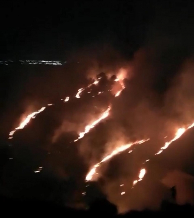 اربد: حريق كبير يلتهم مساحات واسعة من احراش منطقة فوعرا