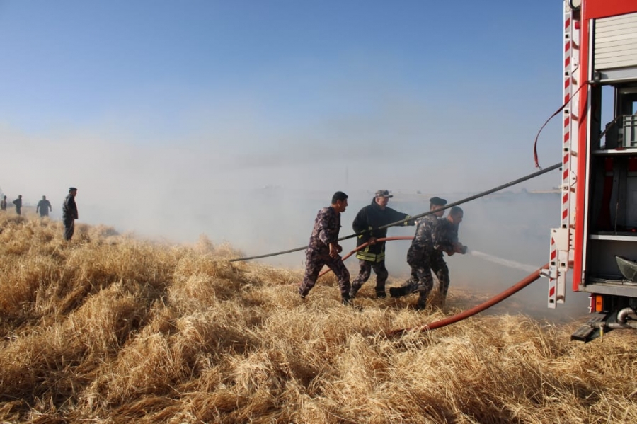 شاهد بالصور .. إخماد حريق 25 دونم محاصيل زراعية في مادبا