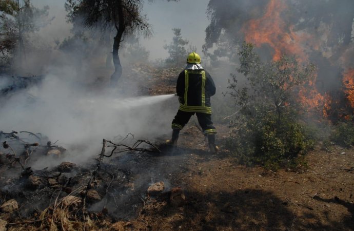 عجلون :اخماد حريق 1400 دونم من الأشجار والاعشاب الجافة في منطقة اوصرة