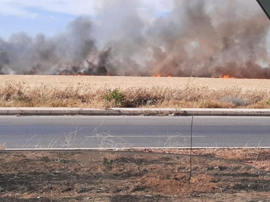 بالصور .. حريق كبير يلتهم مساحات واسعة من الأراضي الزراعية في اربد