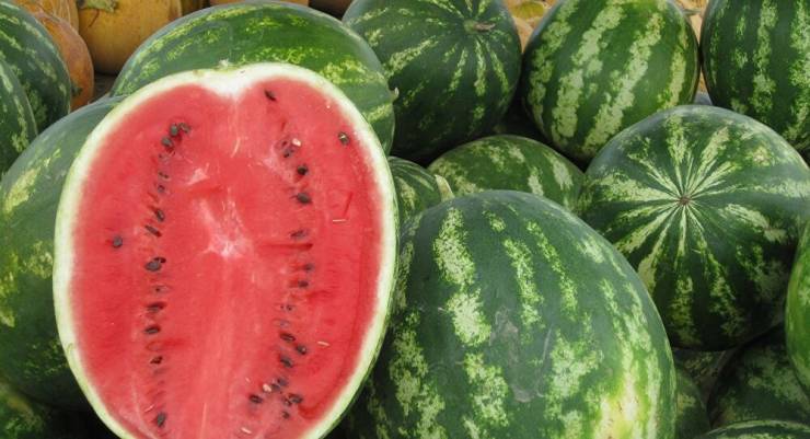 6 أسرار من الخبراء لمعرفة البطيخ الناضج