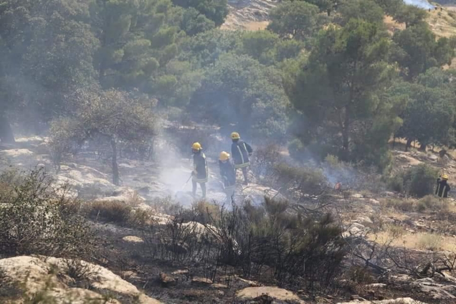 بالصور ...طائرة تساند الدفاع المدني باخماد حريق من الاعشاب والاشجار في عمان