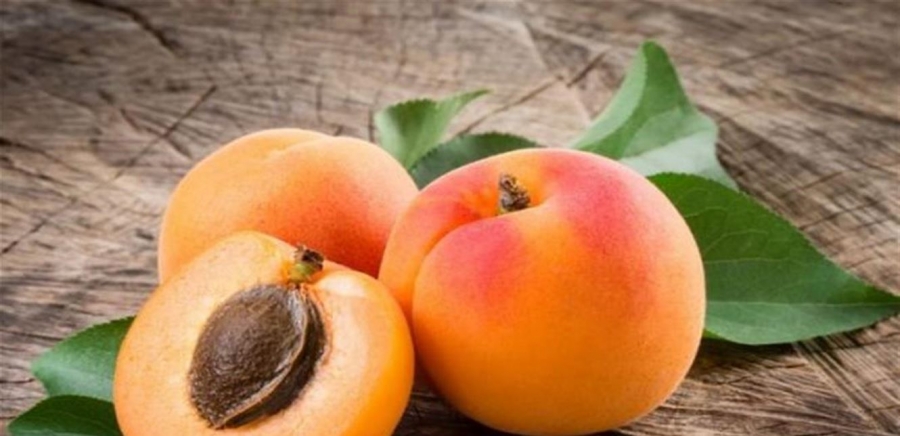 6 فوائد غير متوقعة لفاكهة المشمش.. تعرفوا إليها