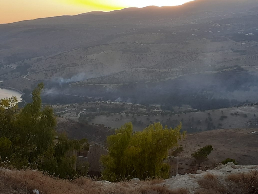 بالصور ... حريق يأتي على 180 دونما في منطقة سد الملك طلال