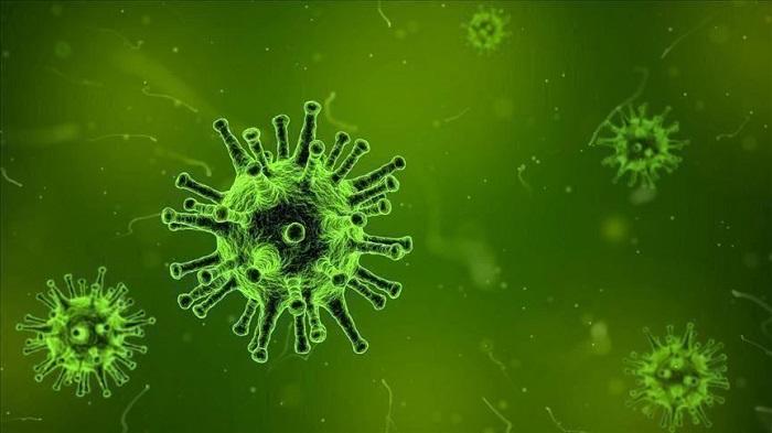 دراسة تكشف عن المدخل الرئيسي لفيروس كورونا إلى الجسم