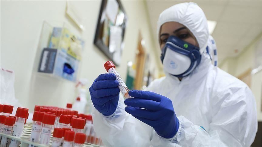 سلطنة عمان : تسجيل 614 إصابة جديدة بفيروس كورونا