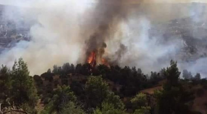 التحقيقات الأولية: إهمال أحد المزارعين سبب حريق عجلون