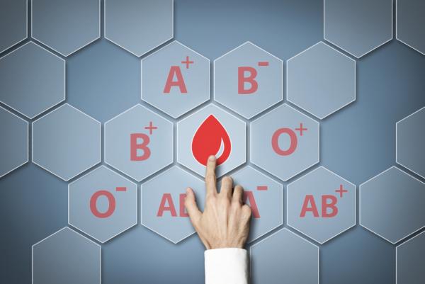 ما هي فصيلة الدم الأندر في العالم؟