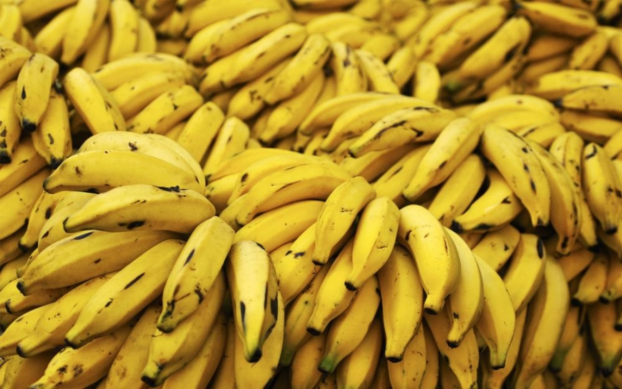 رئيس الاقتصاد النيابية يبحث مع تجار الموز اشكالية منح التصاريح