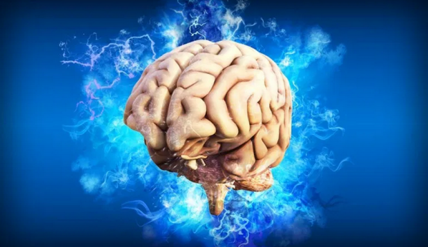 العوامل السبعة التي تؤثر على صحة الدماغ