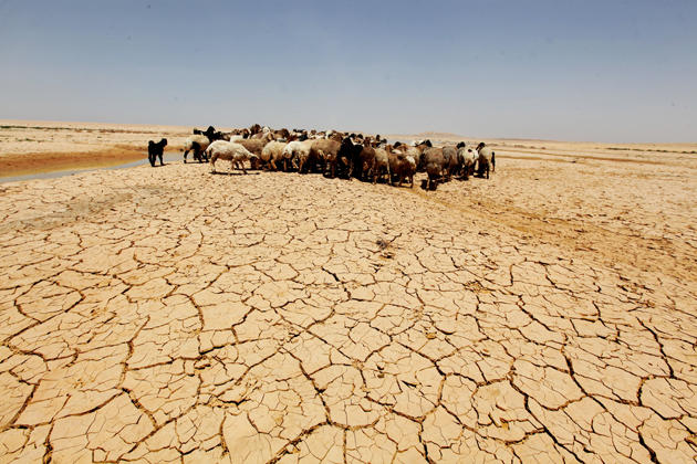 25مليون دولار لتعزيز التكيف مع التغير المناخي بالأردن