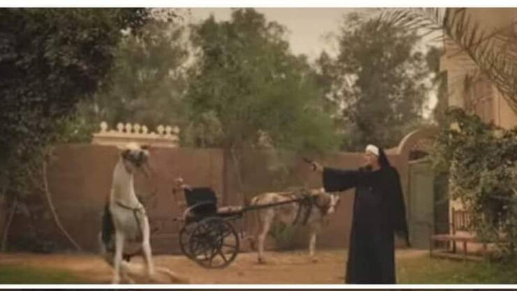 محمد رمضان يكشف تفاصيل مشهد قتل الحصان المثير للجدل