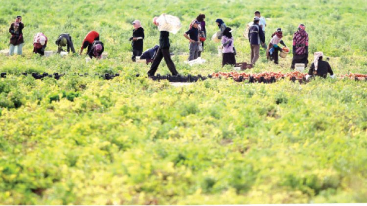 الأغوار الشمالية: وفاة عامل زراعي متأثرا بإصابته بضربة شمس في بلدة المشارع