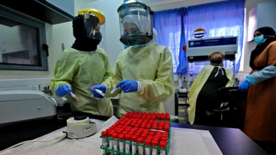 261 ألفا تلقوا اللقاح المضاد للفيروس في الضفة الغربية المحتلة وقطاع غزة