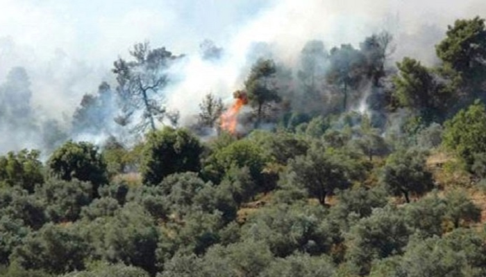 الدفاع المدني يتعامل مع 76 حريقا في الأردن الخميس