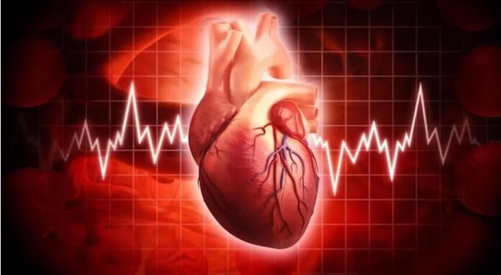 أخصائية روسية تكشف أسباب تسارع ضربات القلب
