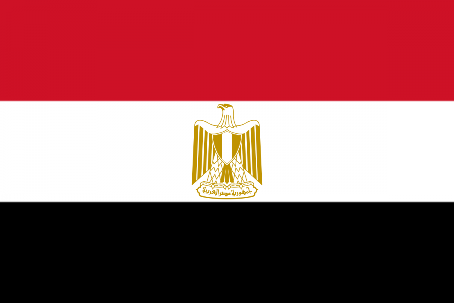 مصر تعزي المملكة بضحايا حادث انفجار صهريج الغاز بميناء العقبة