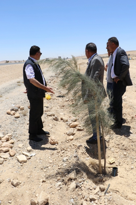 الحنيفات يتفقد مشروع تحريج الصحراوي ويلتقي المزارعين في الكرك