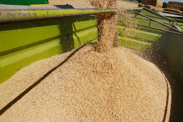 تراجع حاد لصادرات الحبوب الأوكرانية في أولى أيام الموسم الجديد