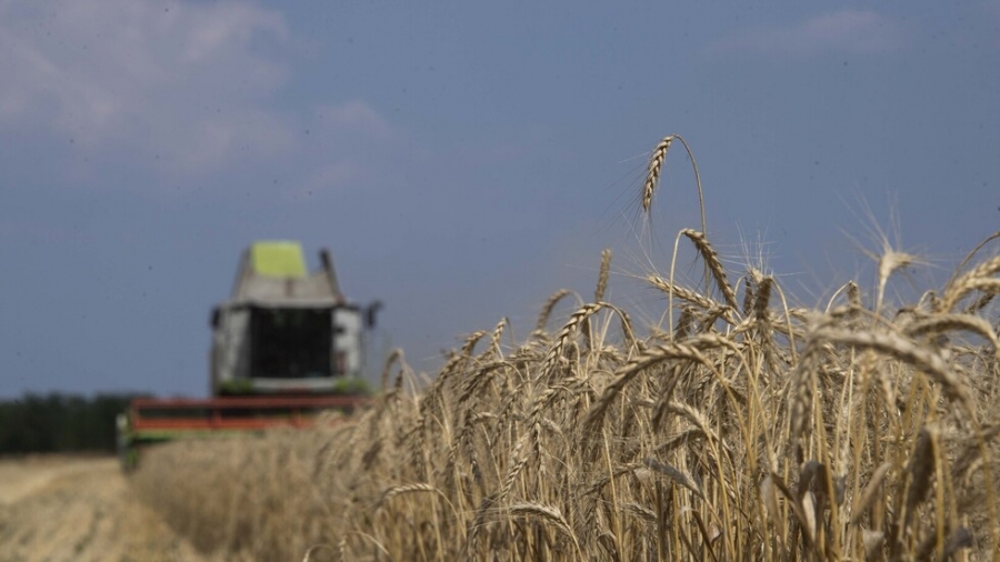 هذا العام .. روسيا تتوقع تصدير 37 مليون طن من الحبوب
