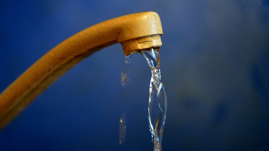 “زراعة الأعيان” تدعو إلى ضرورة تقليل الفاقد من المياه