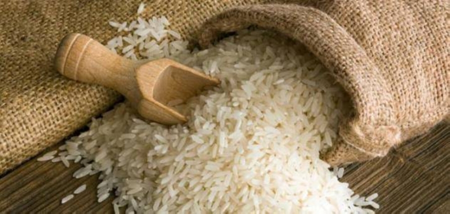 الحاج توفيق: الاردن لن يتأثر بقرار الهند تقييد تصدير مادة الأرز