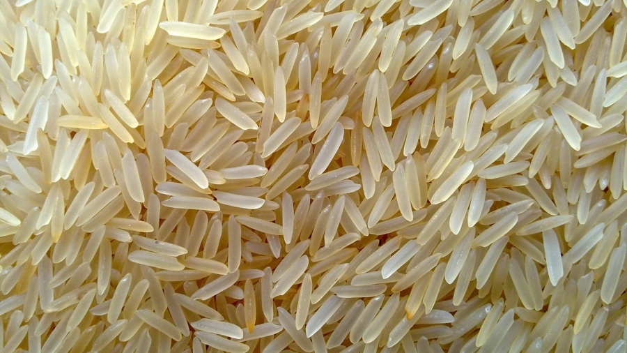 تجار: ارتفاع أسعار الأرز 30 بالمئة
