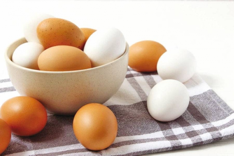 المحيسن: 17 مليون دينار خسائر منتجي بيض المائدة