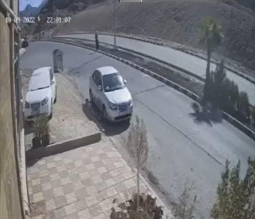 بالفيديو.. نجاة فتاة أردنية من هجوم كلاب ضالة