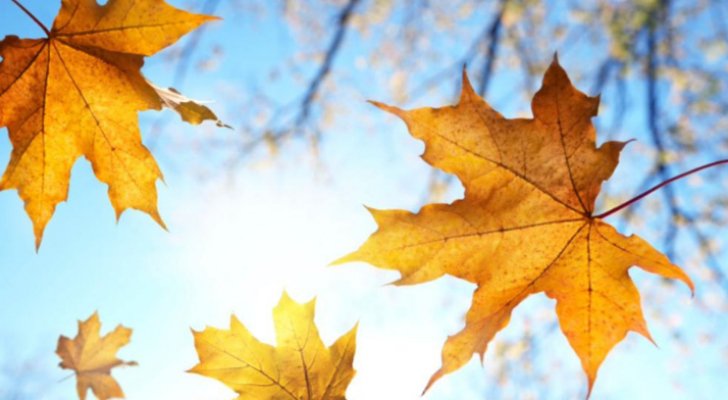 الأرصاد: الأردن يتأثر بحالة عدم استقرار جوي الجمعة