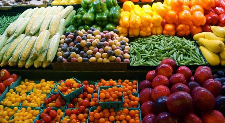 مصدر حكومي: تنسيق عالي المستوى لحماية غذاء ومياه الأردنيين من الكوليرا