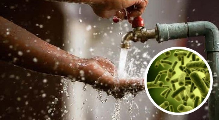 كيف يحدث الموت عند الإصابة بالكوليرا .. استشاري أردني يجيب