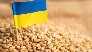 تراجع صادرات الحبوب الأوكرانية بنحو 30
