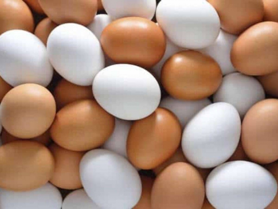 20  تراجع إنتاج بيض المائدة جراء البرد