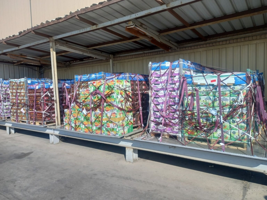 جباكو تنسق للتعاقد على تصدير منتجات الأغوار الجنوبية