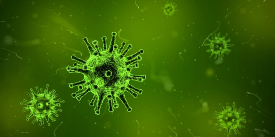 جائحة جديدة .. الصحة العالمية تحذر من فايروس خطير