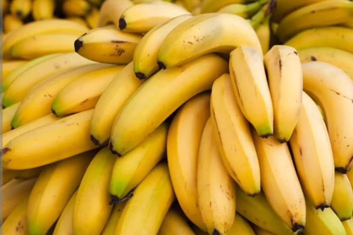 ارتفاع سعر الموز البلدي في السوق المركزي