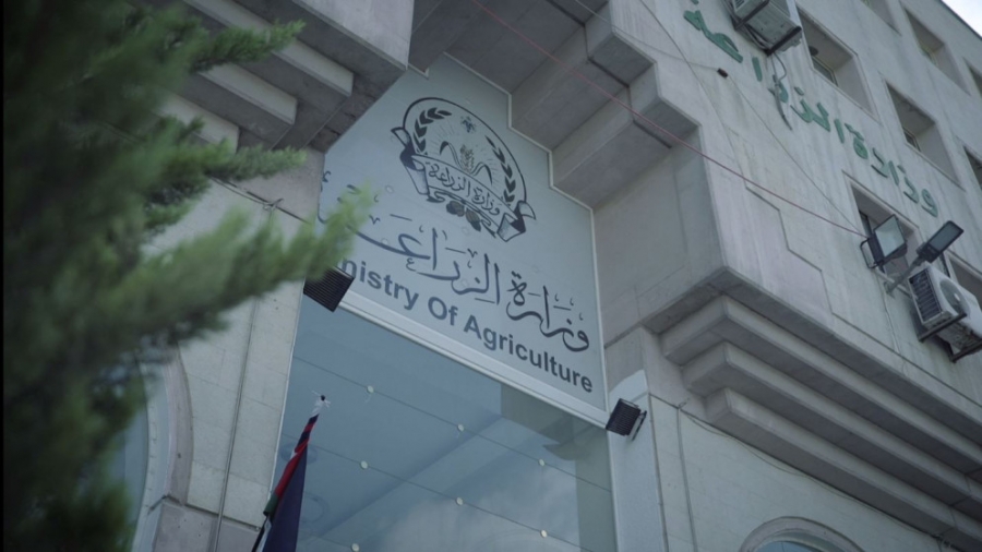 “الزراعة” تعلن عن ببيع غزلان من محمية دبين