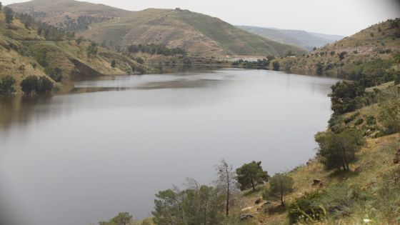 المياه: ارتفاع معدل الهطول المطري الى 97.1 