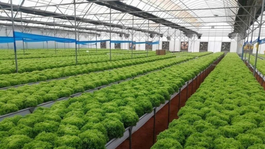 اتفاق أردني سوري عراقي لبناني لإنشاء منصة تسجّل البيانات الإحصائية الزراعية