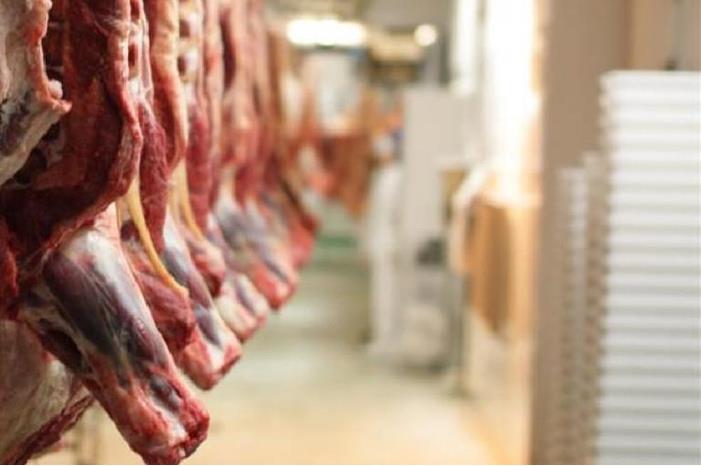 الكواليت: الأسواق لم تتأثر بوقف استيراد اللحوم من السودان ولدينا 17 بديلاً