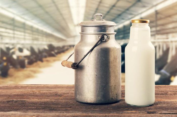 غباين: لا نقص بكميات الحليب الطازج المورّد للاسواق ولا رفع على الأسعار