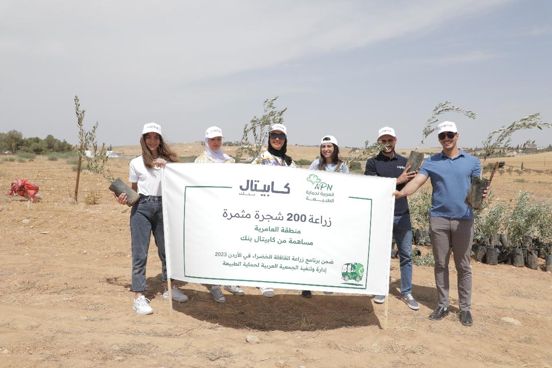 موظفو كابيتال بنك يشاركون في مبادرة لزراعة الأشجار في الجيزة بالتعاون مع  العربية لحماية الطبيعة