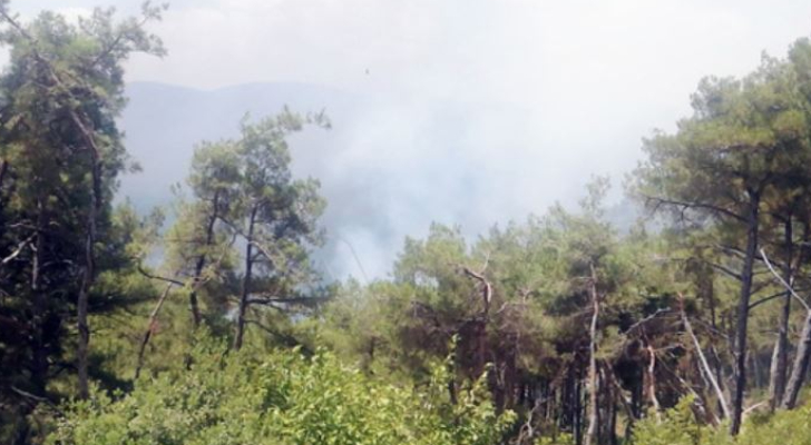 لليوم الخامس على التوالي.. تواصل عمليات إخماد حرائق الغابات في اللاذقية