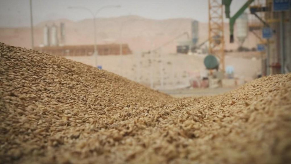 طرح عطاء لتأهيل شركات لمعاينة مستوردات الأردن من الحبوب