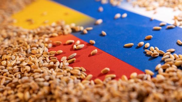 روسيا تسجل رقمًا قياسيًا بصادرات الحبوب